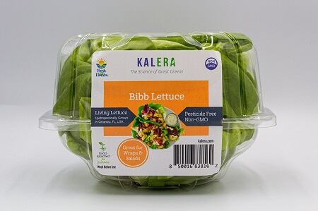 KaleraLettuce_product.jpg