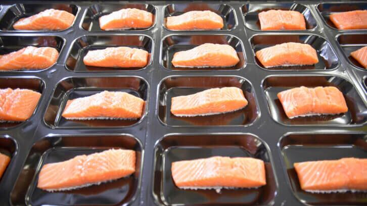 UMAMI-Bioworks-advisor-Jennifer-Bushman-emphasizes-need-for-storytelling-to-strengthen-cultivated-seafood-industry.jpg