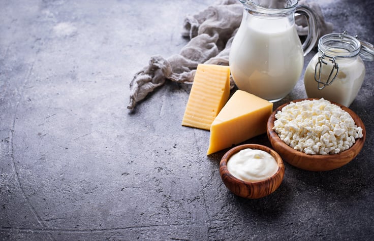 Austrian start-up plans dairy disruption via precision fermentation-derived cheeses