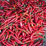 chili-933156832150.jpg