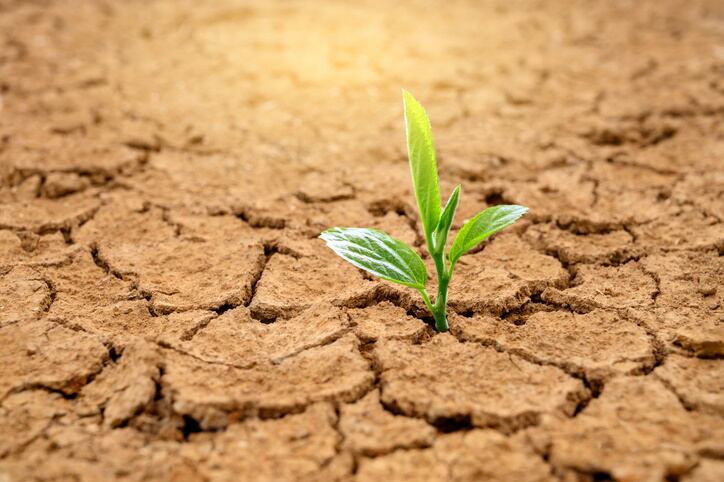 PepsiCo to become ‘net water positive’ by 2030: ‘Time is running out for the world to act on water’