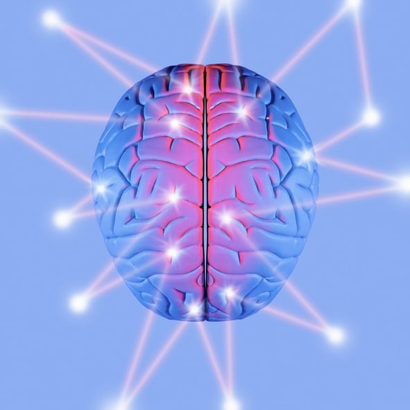 Sensory-the-brain-Getty.jpg