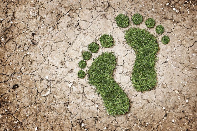 HowGood-We-ve-created-the-world-s-largest-food-sustainability-database.jpg