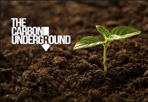 CarbonUnderground.jpg