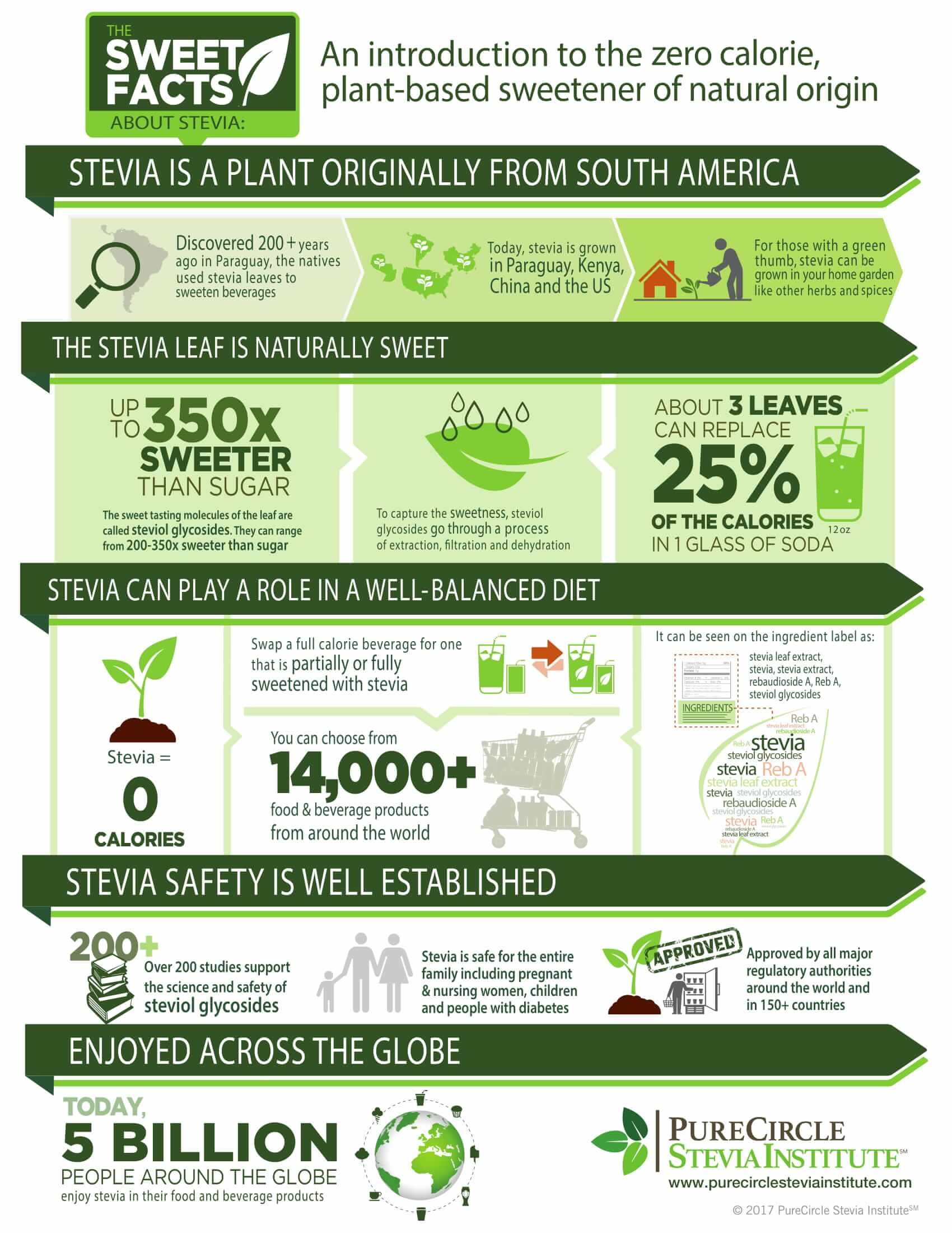 Stevia_infographic.jpg