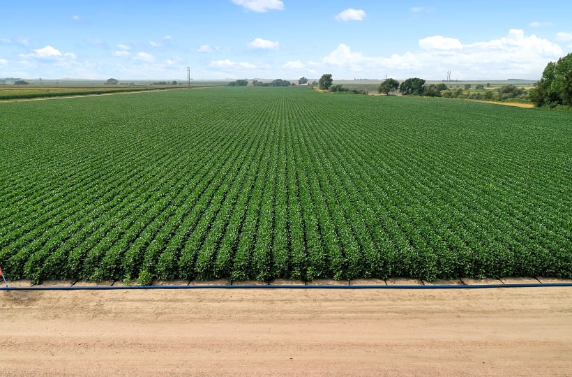 PepsiCo bolsters pep+ framework with $216m investment in regenerative agriculture