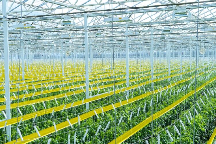AppHarvestfacility.jpg