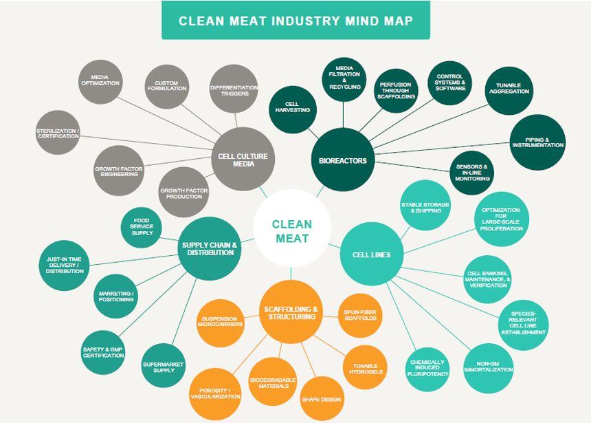 Clean-meat-industry-map-Good-Food-Institute-June-2017.jpg