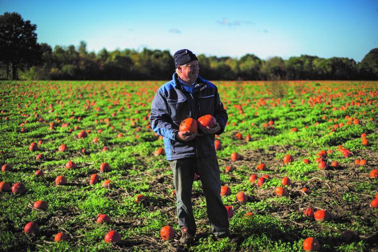 GNT-pumpkins.jpg