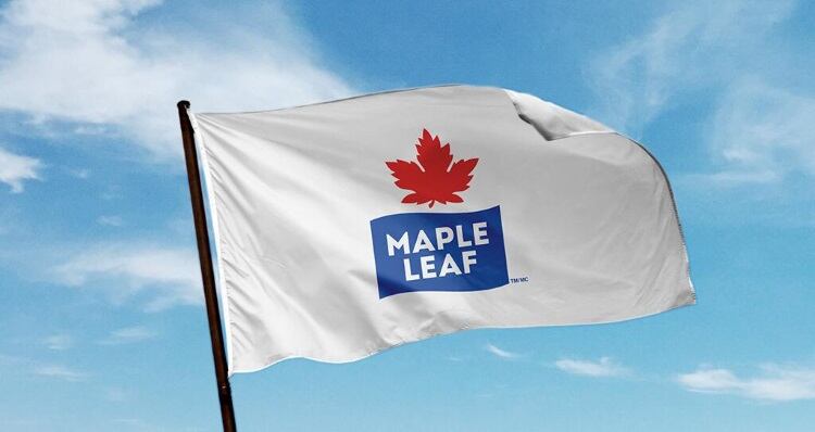 Maple Leaf Foods sales slump amid trade instability