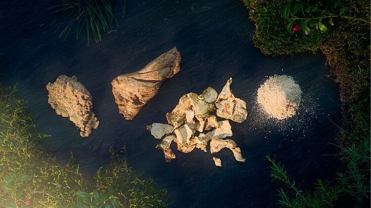 Single-ingredient meat analogue developed in ‘happy accident’: ‘We’re the first and only ones doing this’
