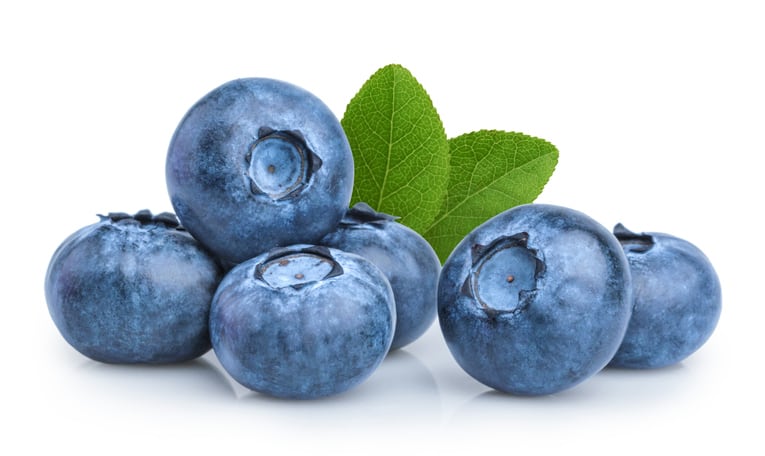 Blueberries show cognitive benefits in study