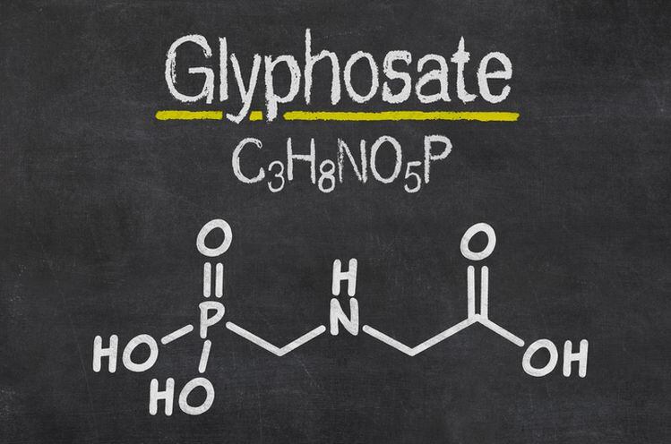 FDA releases pesticide residue report; scope of glyphosate testing inadequate, says Detox Project