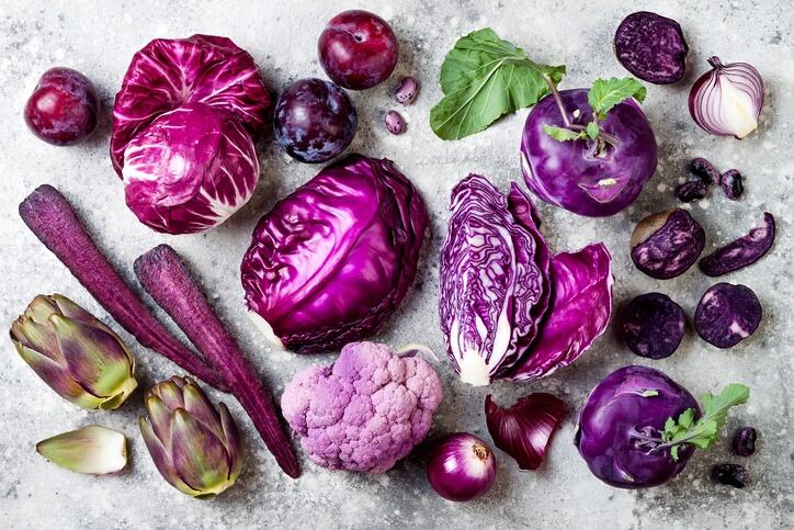 Startup Phytolon is fine-tuning novel technology that could make natural colors more cost effective
