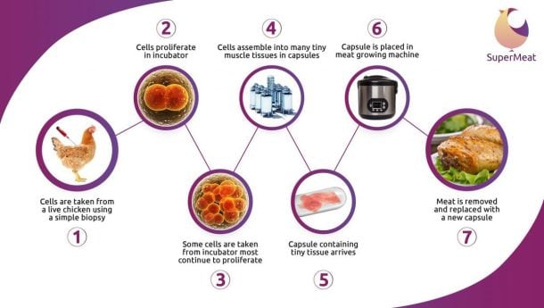 SuperMeat-infographic.jpg
