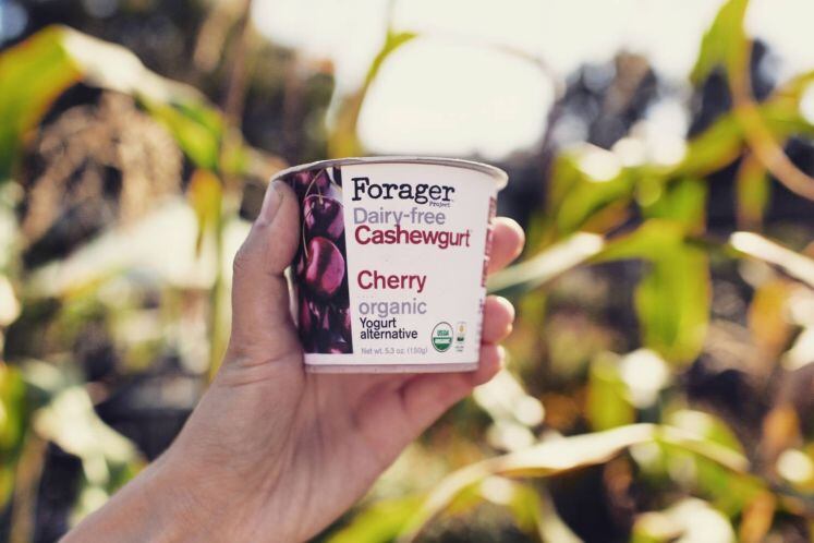 Forager-cashewgurt.jpg