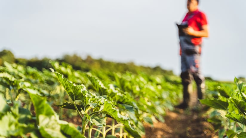 Steward’s novel lending model reinforces supply chains for regenerative, regionally produced ingredients and products consumers want