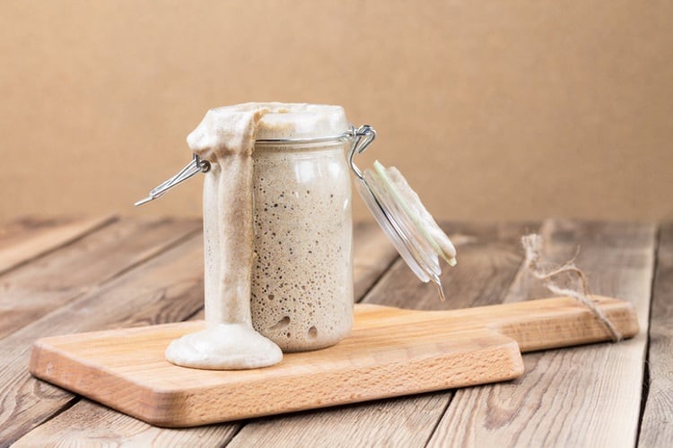 Sourdough starter