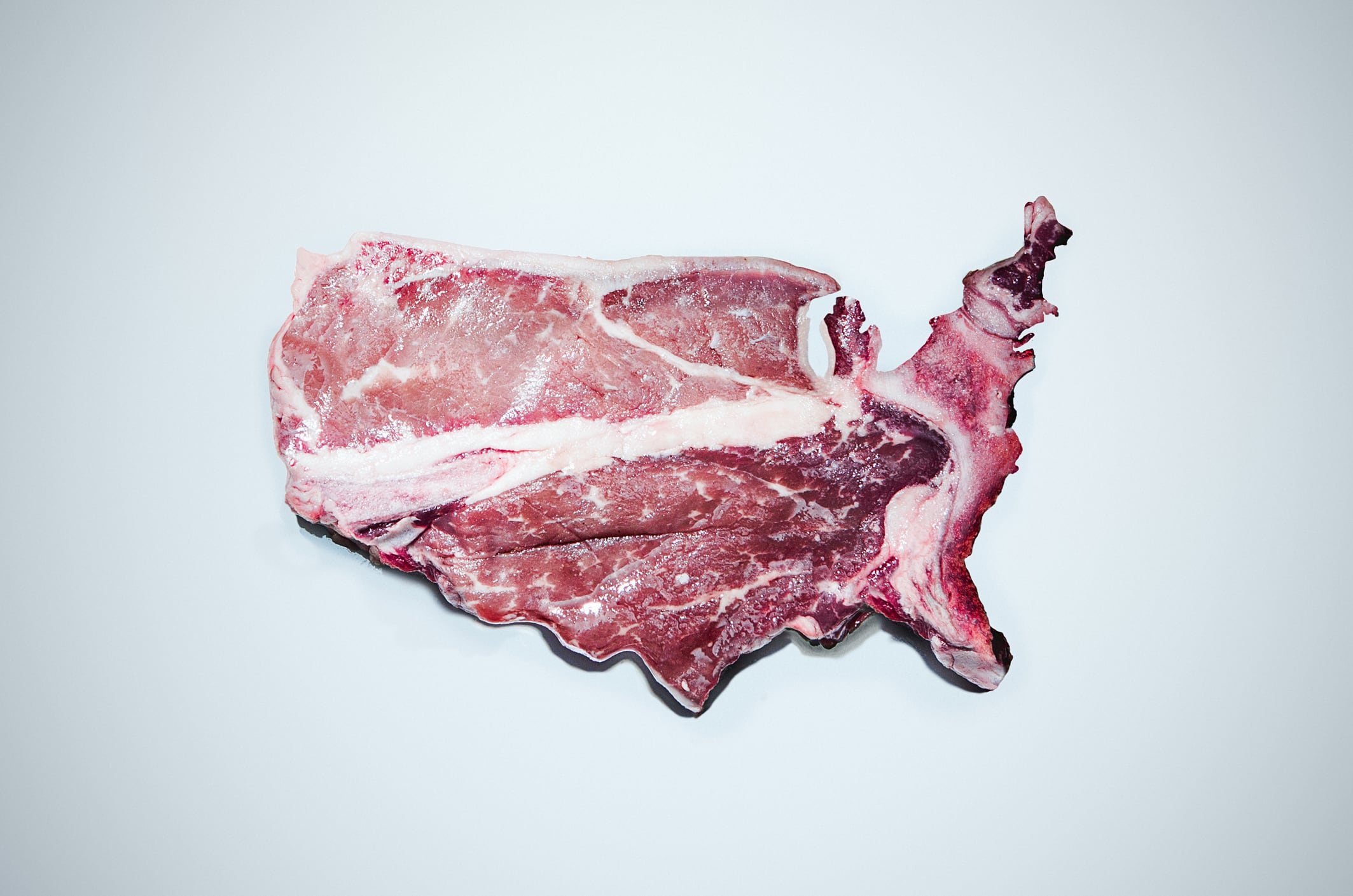 EUDR: US seeks ‘negligible risk’ status, and could get it 