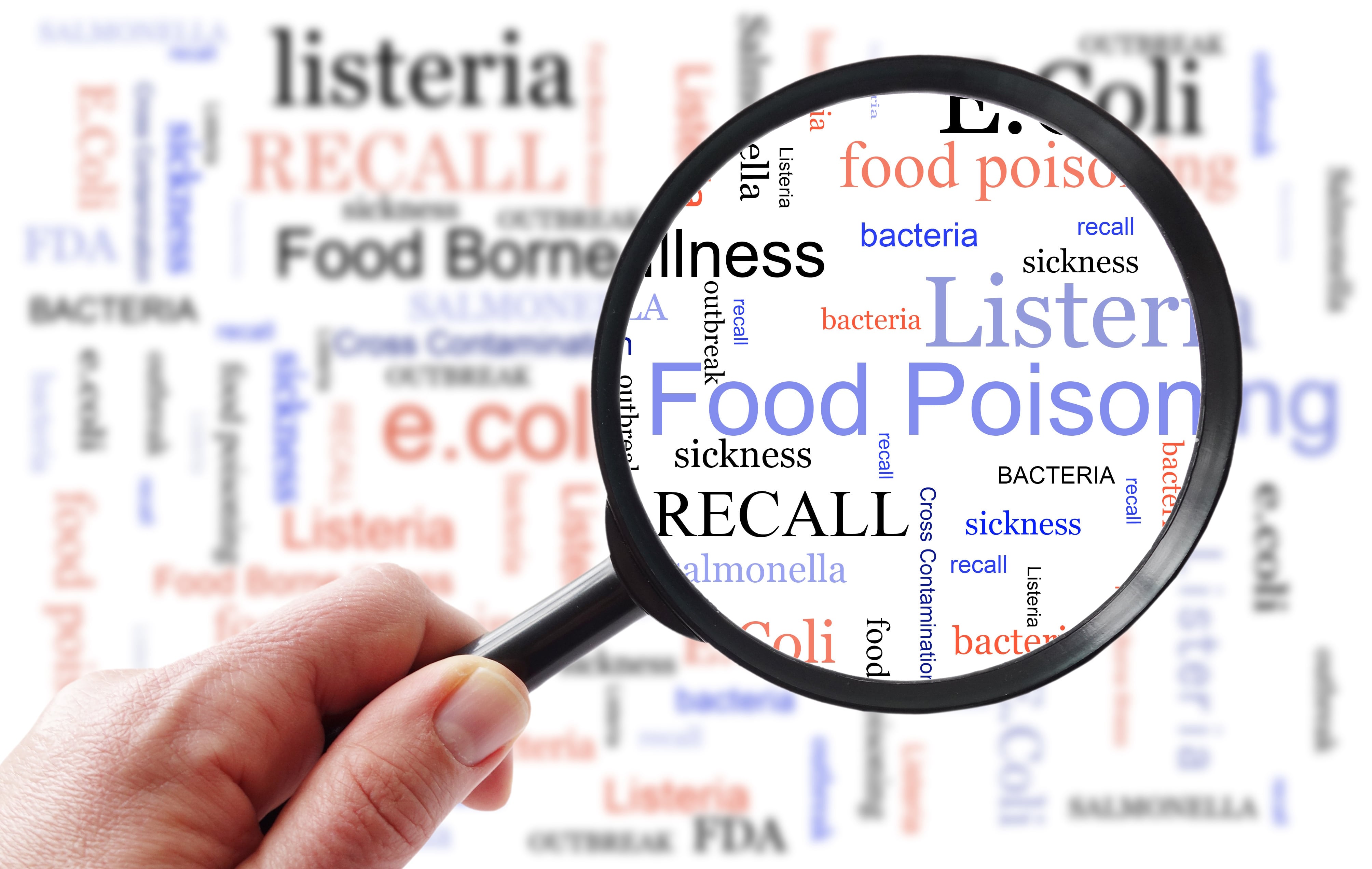 Food poisoning related terms, salmonella, e coli etc,  in a word cloud with magnifying glass