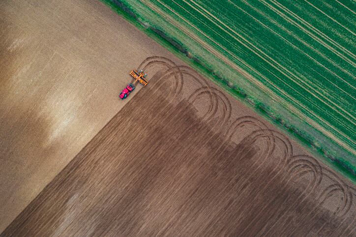 Food policymakers urged to consider land sparing in biodiversity efforts