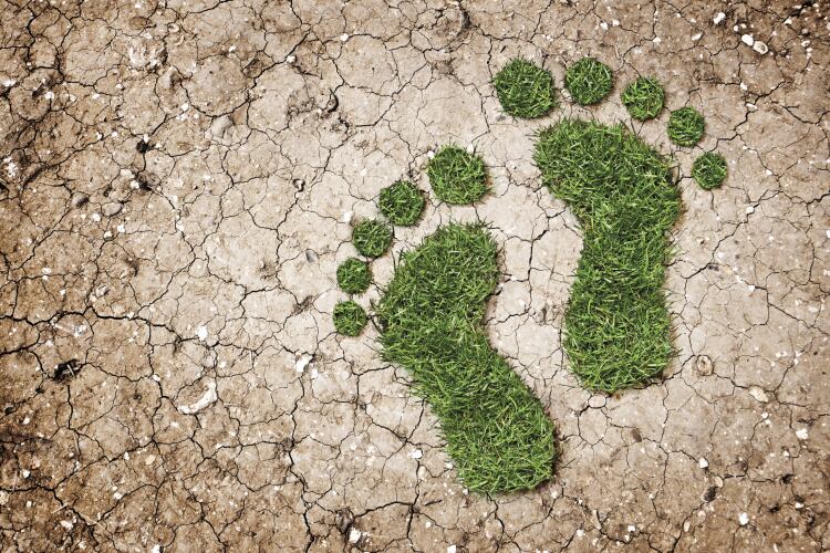 'We’re fooled into believing that these companies are taking sufficient action': Nestlé and Unilever rebuff greenwashing accusation