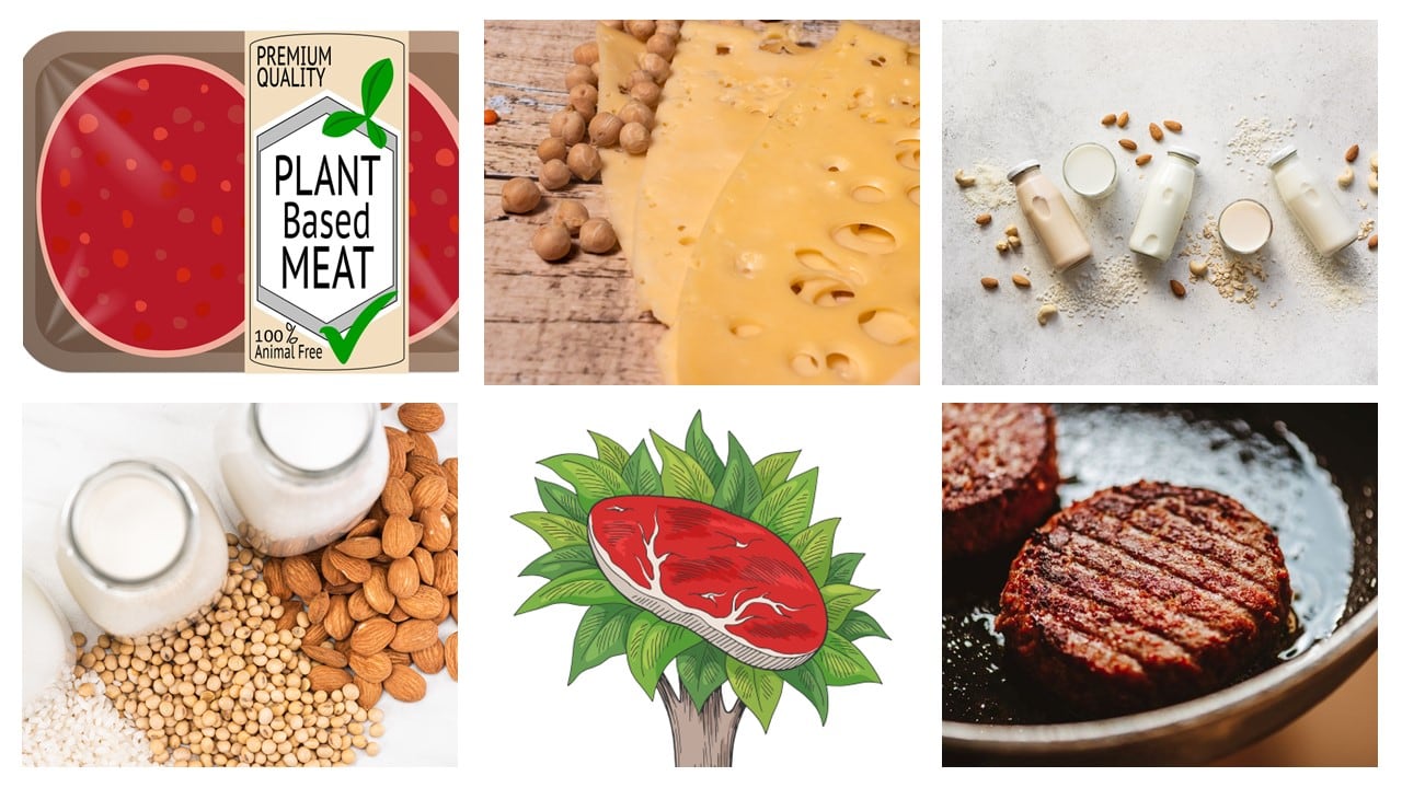 SPECIAL REPORT: Plant-based dairy and meat by numbers; declining trends continue, but pockets of growth remain
