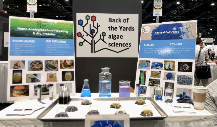 Back of the Yards Algae Sciences: Heme analogs, food colors, bio-stimulants for vertical farming