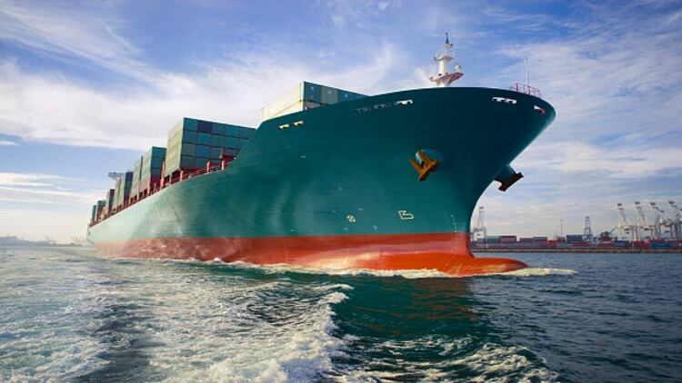 Brazilian beef exports skyrocket in October