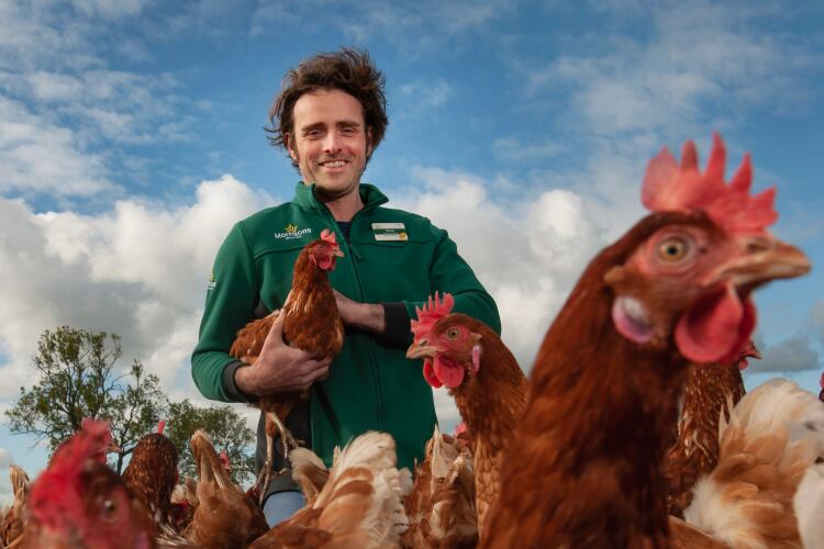 Morrisons-works-with-Better-Origin-to-reduce-the-carbon-footprint-of-its-eggs.png