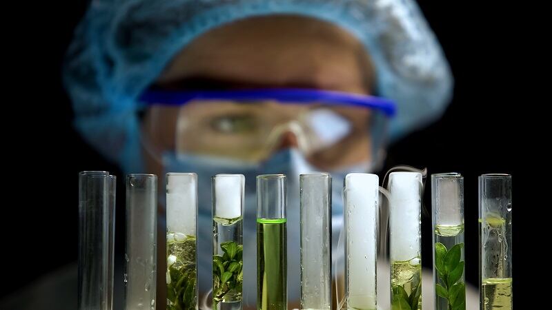 Grain fermentation can produce a cost-effective, vegan alternative to B12 fortification