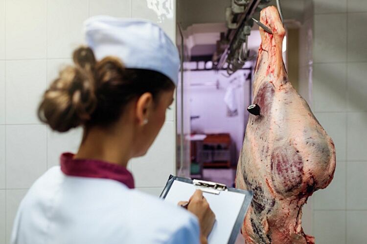 US Senate to debate strengthening meat border checks