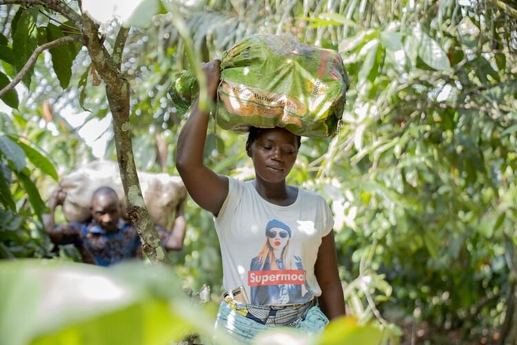 Behind Nestlé’s CHF1.3bn drive to bridge the living income gap in cocoa