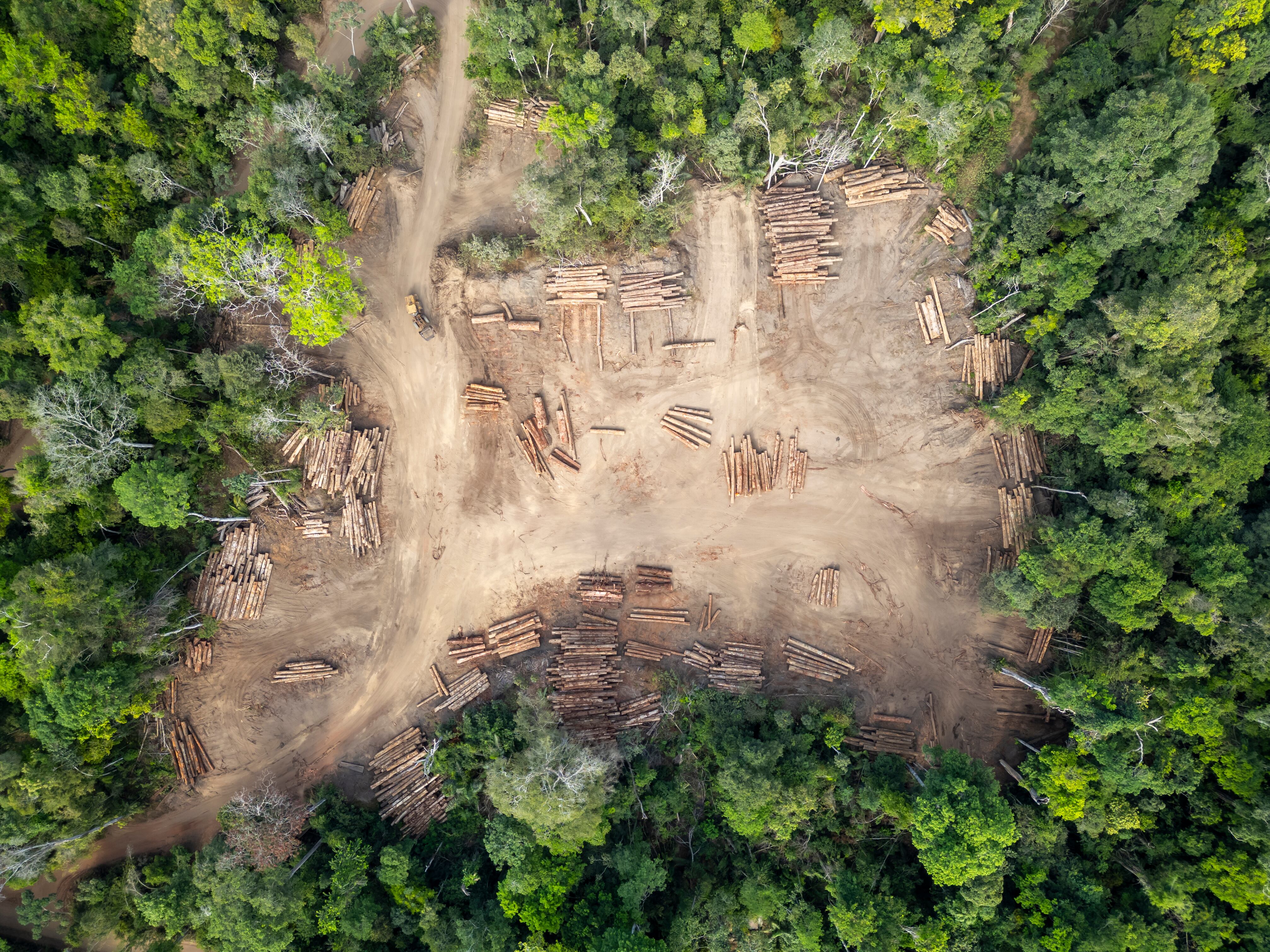 Logging yard
