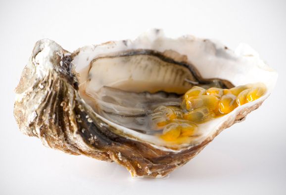 Oyster-passion-fruit-foodpairing.jpg