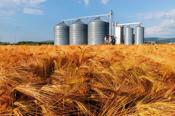 Ardent Mills seeks to expand in fast-growing gluten-free, specialty grains with potential Firebird Artisan Mills deal