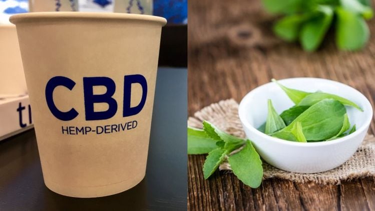 In-conversation-with-Sweegen-Formulating-with-stevia-hemp-extracts-and-CBD.jpg
