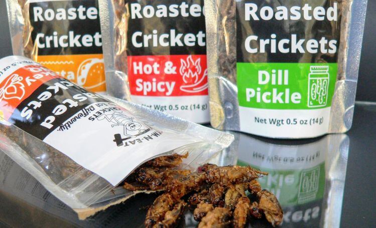 Gym-n-Eat-roasted-crickets.jpg