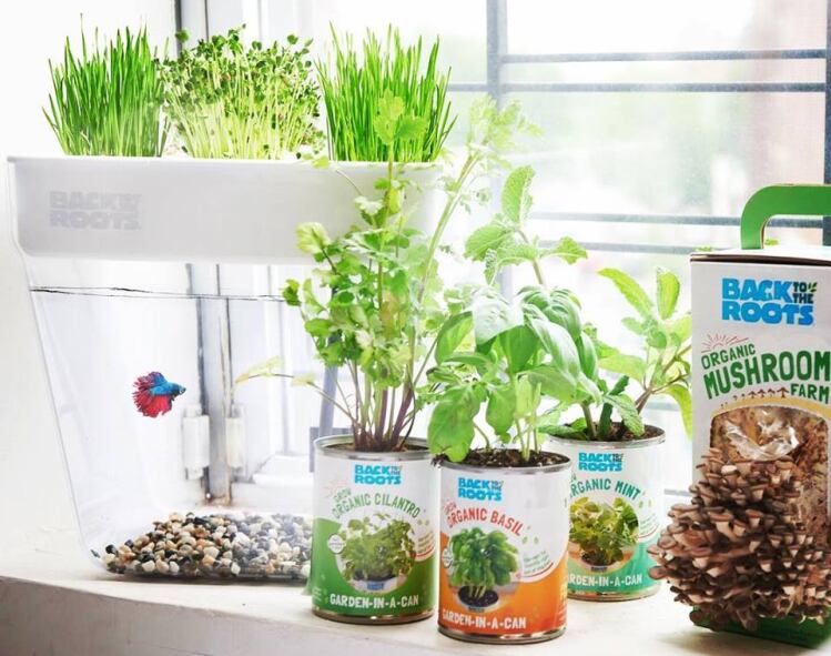 Back-to-the-roots-indoor-garden.png