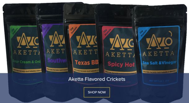 aketta flavored crickets screengrab