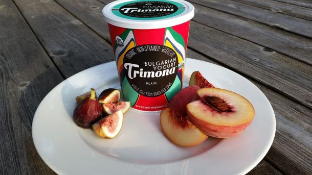 Trimona plain Bulgarian yogurt