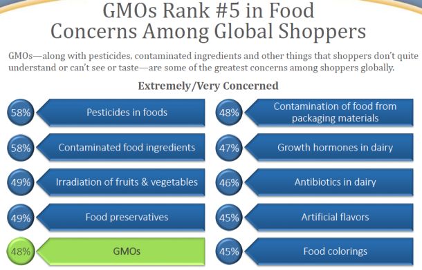 GMO concerns Health Focus International
