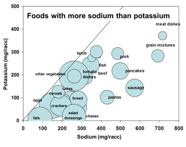 sodium and potassium foods