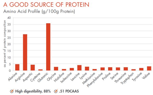 algavia protein amino acid profile