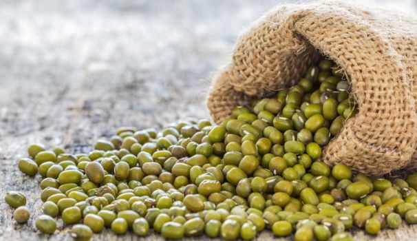 Hampton Creek explores the potential of mung bean protein isolate