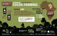 Hershey cocoalink infographic