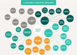 Clean meat industry map Good Food Institute June 2017