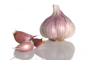 garlic-bsp