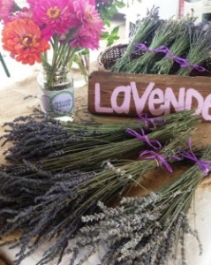 Nello's lavender