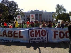 Millions-against-Monsanto